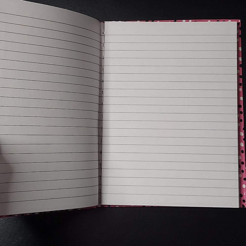 The Fun Stuff Pink Notebook - Picture 5 of 5